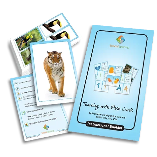 Teaching Jungle Animals: Building Early Language with Flashcards