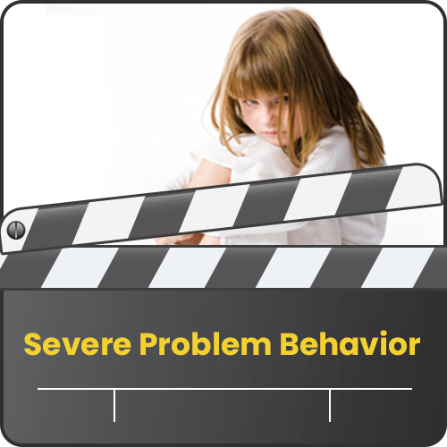 Severe Problem Behavior: Treatments & Support Plans